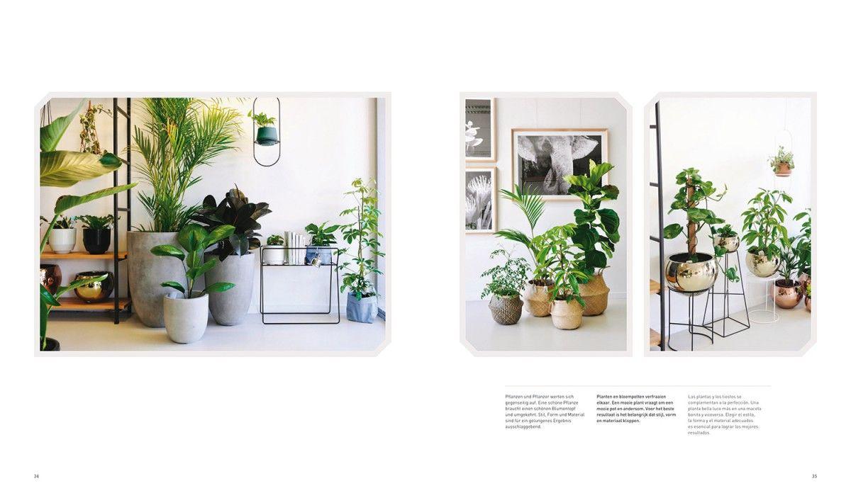 Dekorieren Mit Pflanzen Librero B V