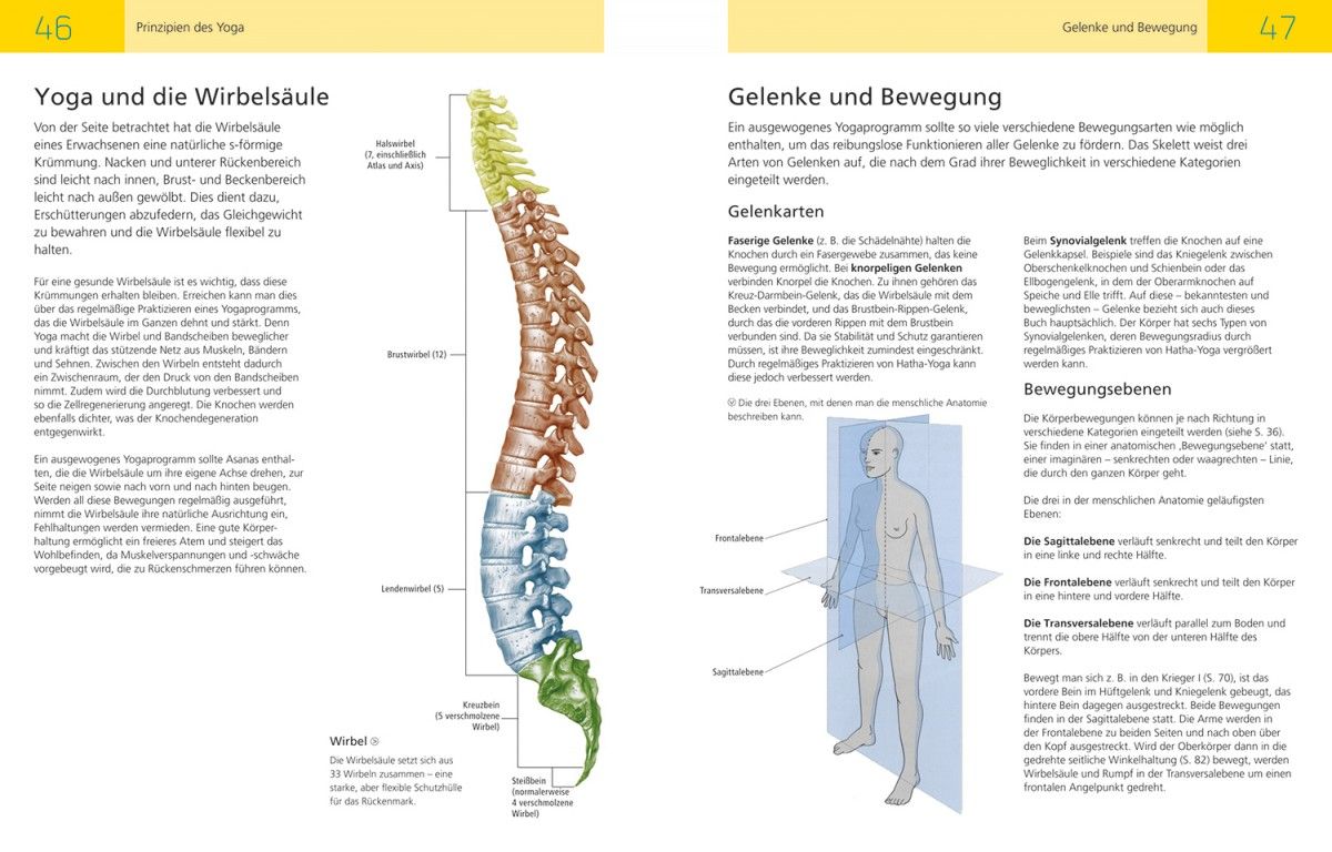 Die Anatomie Des Yoga Librero Ibp