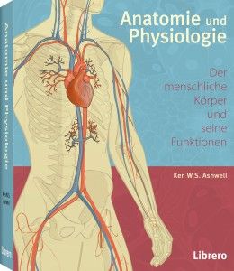 Anatomie und Physiologie