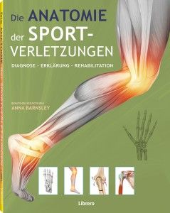 Die Anatomie von Sportverletzungen
