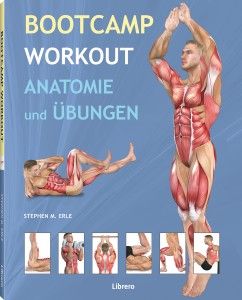 Bootcamp Workout Anatomie und Übungen