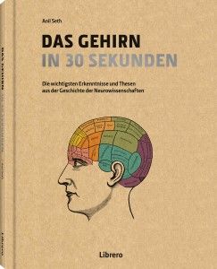 Das Gehirn in 30 Sekunden