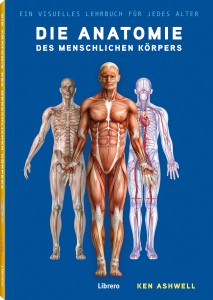 Die Anatomie des menschlichen Körpers