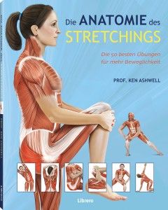 Die Anatomie des Stretchings