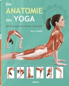 Die Anatomie des Yoga