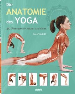 Die Anatomie des Yoga